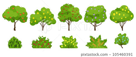 Fruit tree growing, trees with fruits and bush berries. Organic garden with apple, lemons and pears. Harvest time, gardening decent vector set Fruit tree growing, trees with fruits and bush berries. Organic garden with apple, lemons and pears. Harvest time, gardening decent vector set 105460391