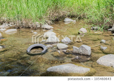 【仲夏多西河與廢輪胎】 105460643