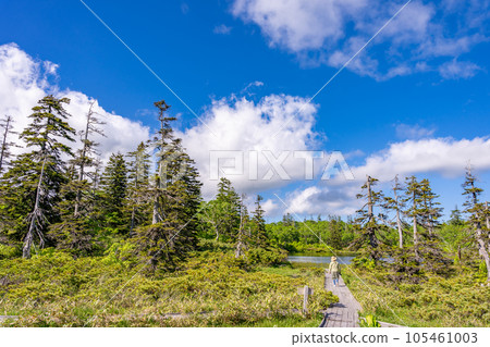 新仙沼散步木板路女子徒步 105461003