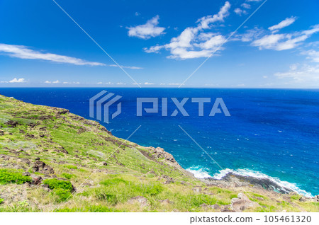夏威夷美景【Makapu'u Cape Trail】 夏威夷美景【Makapu'u Cape Trail】 105461320