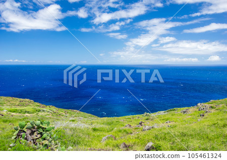 Amazing view of HAWAII [Makapu'u Cape Trail] 105461324