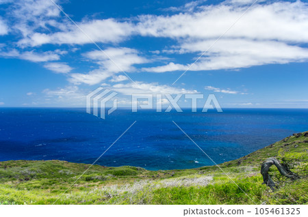 Amazing view of HAWAII [Makapu'u Cape Trail] 105461325