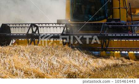 A combine harvester mows ripe wheat in the field. Close-up of the header. Wheat harvesting 105461443