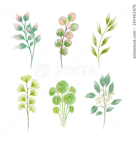 set of orchid flowers and leaves watercolor 105461976