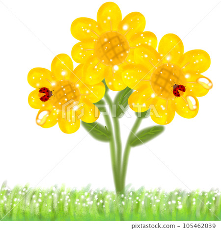 green grass isolated on white background - Stock Illustration ...