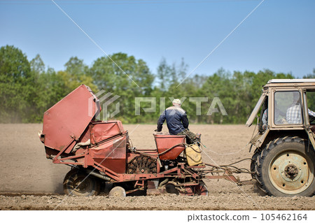 Farm worker operates potato planter while sitting on it during spring sowing season. 105462164