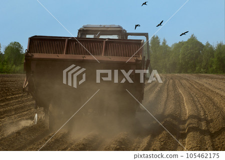 Spring sowing in plowed agricultural field, potato planter plants potatoes creating cloud of dust. 105462175