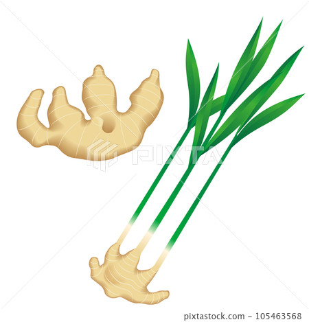 Food_Vegetables_Ginger Food_Vegetables_Ginger 105463568