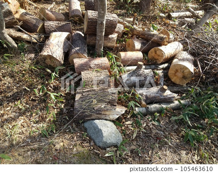 felling logs felling logs 105463610