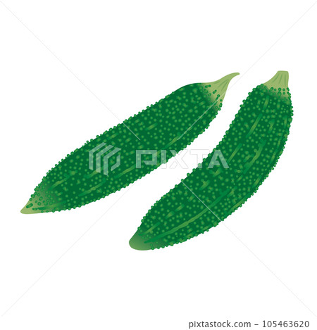 食物_蔬菜_戈雅 食物_蔬菜_戈雅 105463620