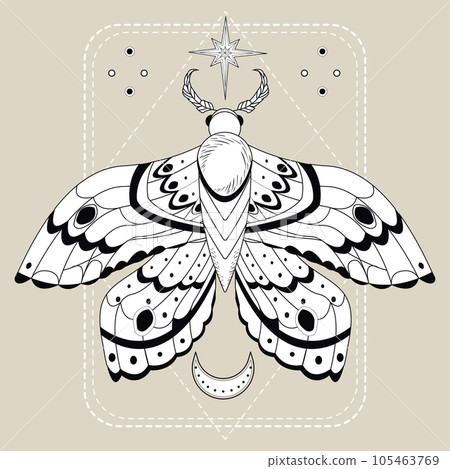 Magic mystic moth in doodle style, line art isolated, boho celestial esoteric symbol, tatoo or print 105463769