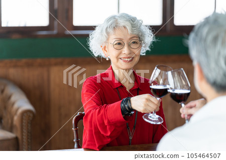 Senior couple drinking wine 105464507
