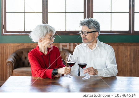Senior couple drinking wine 105464514