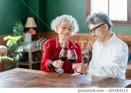 Senior couple drinking wine 105464515