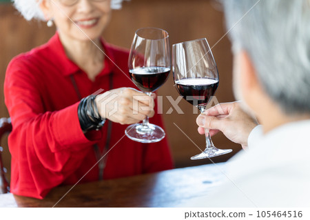 Senior couple drinking wine Senior couple drinking wine 105464516