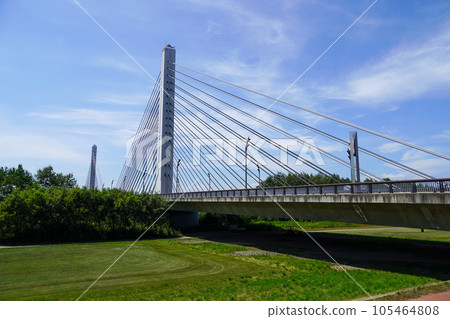 Tokachi Bridge (3-span continuous PC cable-stayed bridge) Tokachi Bridge (3-span continuous PC cable-stayed bridge) 105464808