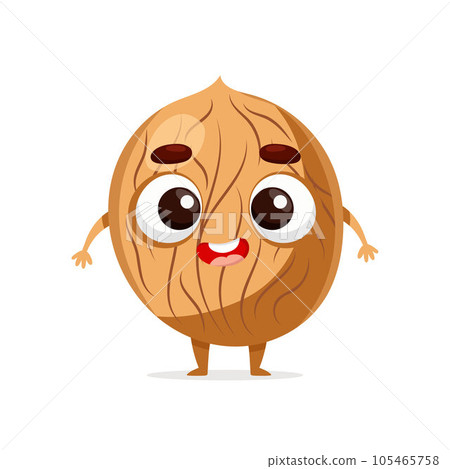 Funny cartoon walnut. Kawaii nut character. Vector food illustration isolated on white background 105465758