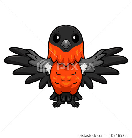 Cute bullfinch bird cartoon flying Cute bullfinch bird cartoon flying 105465823