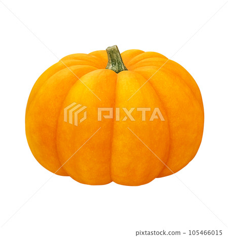 Halloween pumpkin illustration real Halloween pumpkin illustration real 105466015