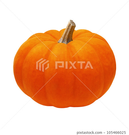 萬聖節南瓜插畫真實 105466025