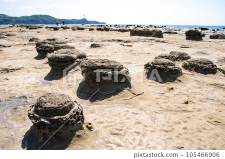 石見榻田浦結核化石(嬰兒潮一代) 島根縣濱田市 石見榻田浦結核化石(嬰兒潮一代) 島根縣濱田市 105466906