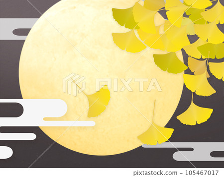 Yellow ginkgo biloba leaves Yellow ginkgo biloba leaves 105467017