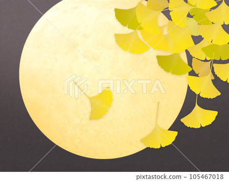 Yellow ginkgo biloba leaves 105467018