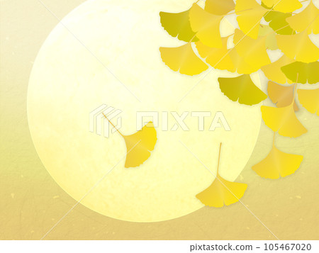 Yellow ginkgo biloba leaves Yellow ginkgo biloba leaves 105467020