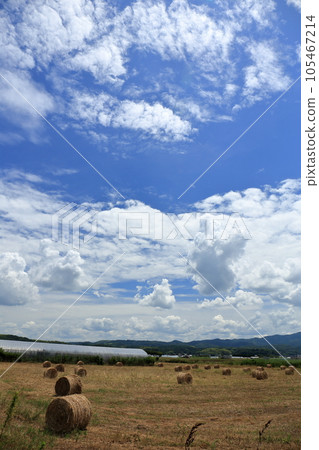 Summer sky with blue sky and thunderhead Summer sky with blue sky and thunderhead 105467214
