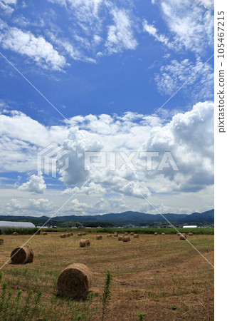 Summer sky with blue sky and thunderhead 105467215