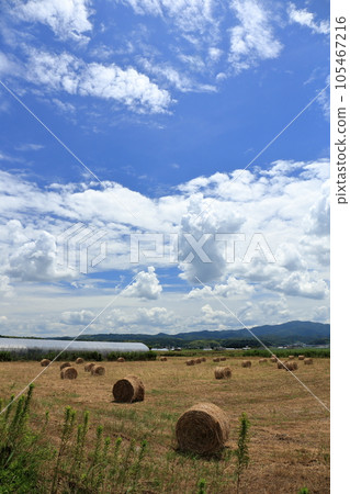 Summer sky with blue sky and thunderhead 105467216