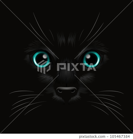 Vector 3d Realistic Blue Cats Eye of a Black Cat in the Dark, at Night. Cat Face with Yes, Nose, Whiskers on Black. Cat Closeup Look in the Darkness. Front View 105467384