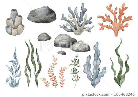 Set of Sea Pebbles, marine coral, seaweed algae. Hand drawn watercolor illustration. Marine, tropical collection for souvenir, posters, sticker, printing, banner Set of Sea Pebbles, marine coral, seaweed algae. Hand drawn watercolor illustration. Marine, tropical collection for souvenir, posters, sticker, printing, banner 105468246