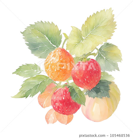 salmonberry fruits branch with leaves composition realistic botanical watercolor illustration salmonberry fruits branch with leaves composition realistic botanical watercolor illustration 105468536