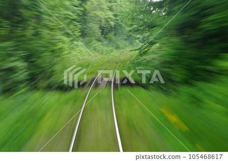 Feeling like riding a cat bus "Ah, the trees are keeping us away!" 105468617