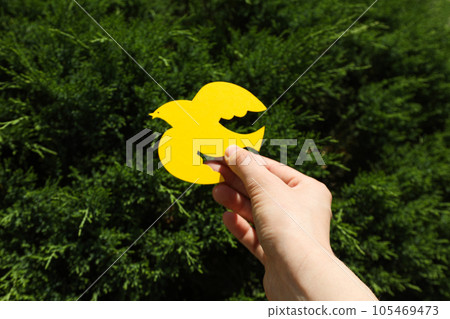 International day of peace or world peace day, symbol of peace - pigeon 105469473