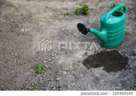 Green watering in the right corner on the background of the garden and dry gray soil. Wet puddle. Some greens. The theme is severe dry land, drought and lack of harvest. Selective focus 105469548