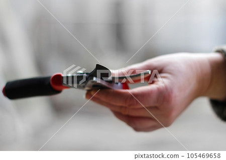 Defocus gardening scissors. Close-up red pruning shears on blurry light background. Hand holding pruning shears or garden scissors. Out of focus Defocus gardening scissors. Close-up red pruning shears on blurry light background. Hand holding pruning shears or garden scissors. Out of focus 105469658