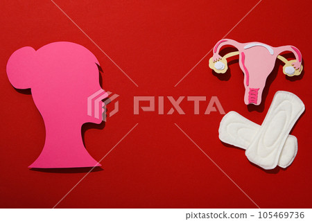 Pink female silhouette in profile with menstrual hygiene products 105469736