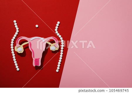 Silhouette of female figure with internal genitals, menstrual cycle concept 105469745