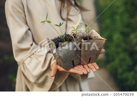 Child girl holding a seedlings ready to be planted in the ground. Little gardener in a brown dress. 105470039