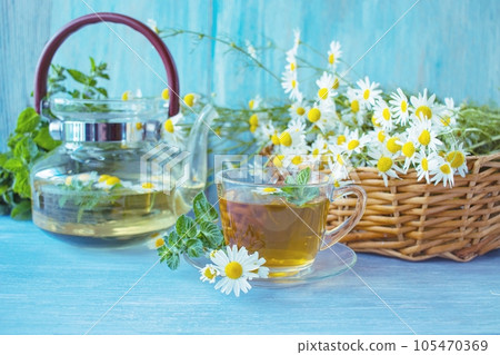 Tea from fresh chamomile flowers, mint, in a cup, on a wooden table, against the background of bouquets of fresh chamomile flowers Tea from fresh chamomile flowers, mint, in a cup, on a wooden table, against the background of bouquets of fresh chamomile flowers 105470369