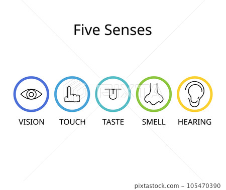 five senses for vision, hearing, touch, smell, and taste five senses for vision, hearing, touch, smell, and taste 105470390