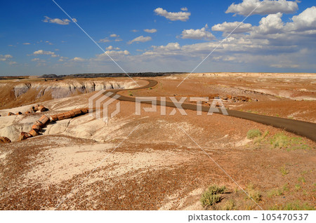 Rugged and Desolate Landscape Petrified Forest Arizona 105470537