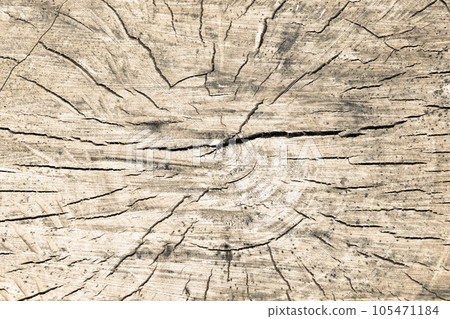 Tree rings old weathered wood texture with the cross section of a cut log. Tree rings old weathered wood texture with the cross section of a cut log. 105471184