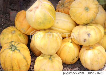 Cucumis melo fruit on shop 105471670