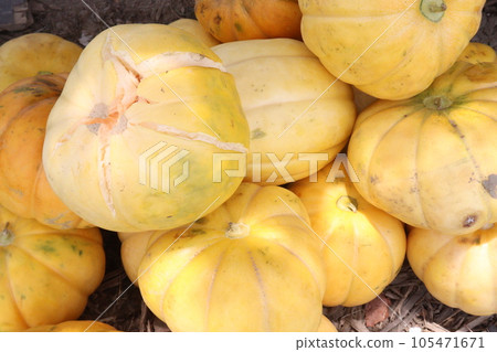 Cucumis melo fruit on shop 105471671