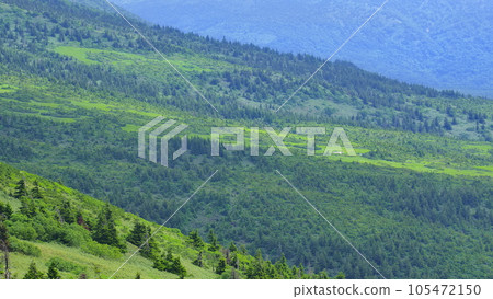 從八甲田纜車山頂站1附近步行前往大岳 105472150