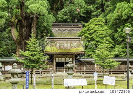 小濱若狹神社新門和千年杉 福井縣小濱市 105472306