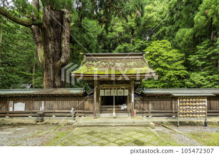 小濱若狹神社新門和千年杉 福井縣小濱市 小濱若狹神社新門和千年杉 福井縣小濱市 105472307